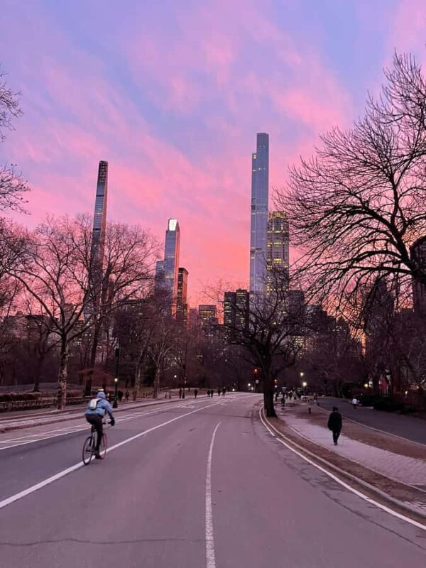 Central Park: Guided Pedicab Tour With Photo Stops - The Sum Up