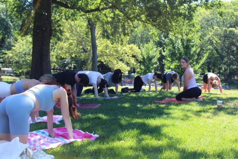 Central Park: Highest Rated Yoga Class in New York City! - Practical Details and Considerations