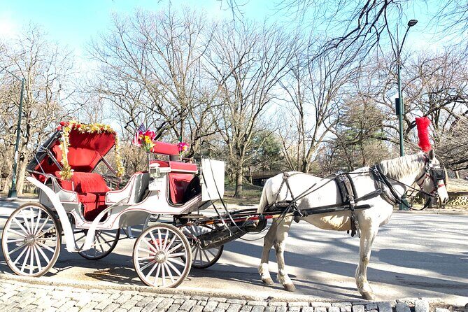 Central Park Horse Carriage Rides Since 2005 - Key Points