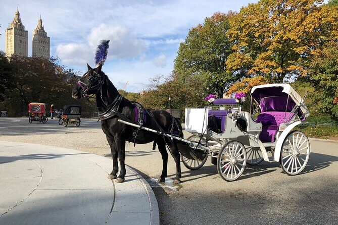 Central Park Horse Carriage Rides Since 2005 - The Experience: What Makes it Special