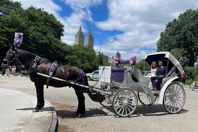 Central Park Horse Carriage Rides Since 2005 - FAQ