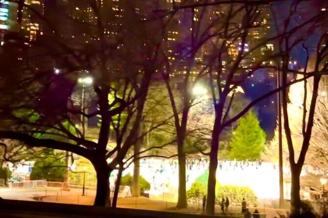 Central Park Moonlight Tour with Photo (45 min) ~ Skip the line - The Sum Up