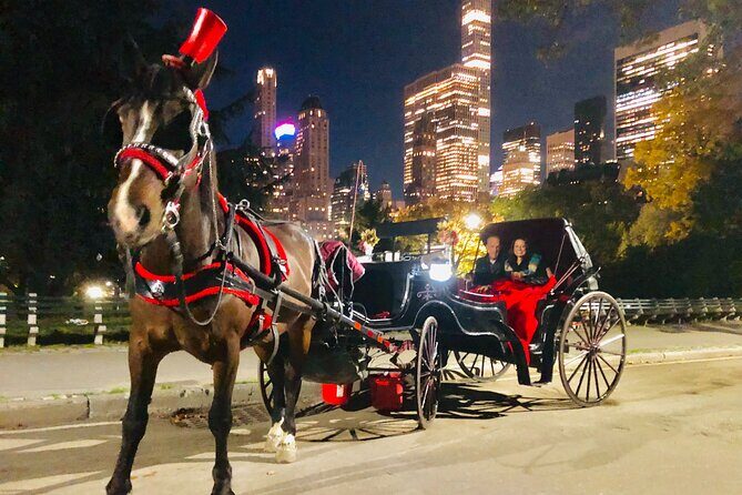 Central Park Moonlight Tour with Photo (45 min) ~ Skip the line - FAQ