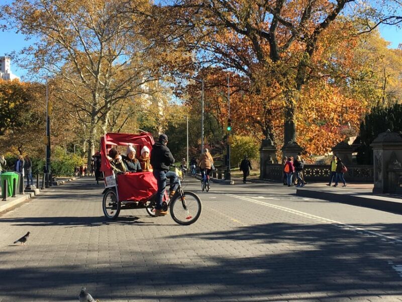 Central Park Movie Locations & Celebrity Homes Tour - The Ideal Audience for This Tour