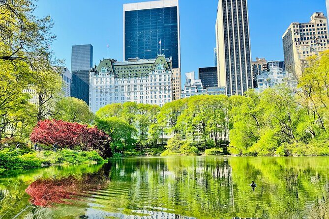 Central Park Pedicab Rides - What Reviewers Say