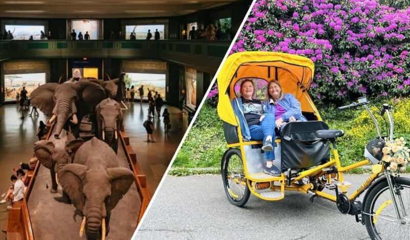 Central Park Pedicab Tour + Optional Natural History Access - Practical Tips for Booking
