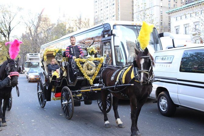 Central Park Private Horse Carriage Tour in NYC - A Detailed Look at the Central Park Private Horse Carriage Tour
