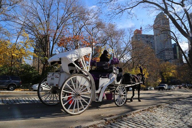Central Park Private Horse Carriage Tour in NYC - Final Thoughts: Is It Worth It?