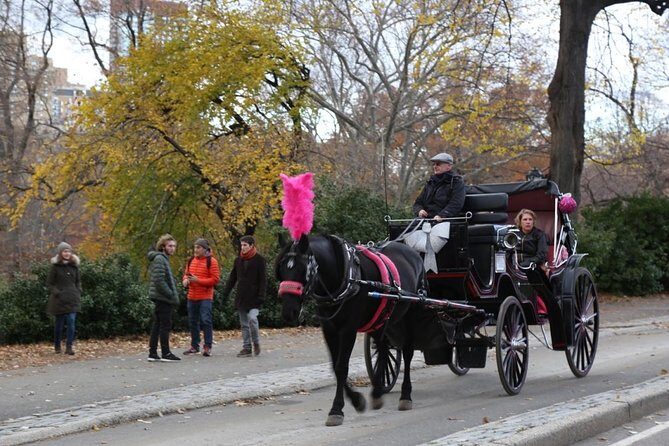Central Park Private Horse Carriage Tour in NYC - FAQs
