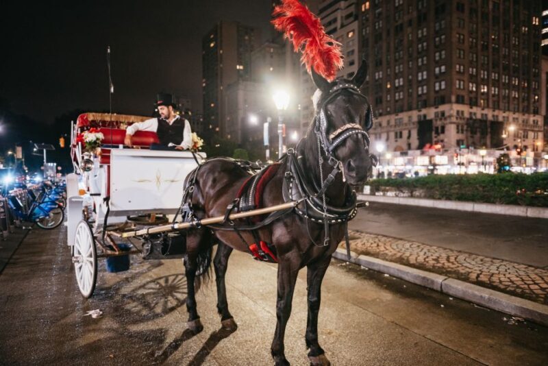 Central Park, Rockefeller & Times Carriage Ride (4 Adults) - Authentic, Personal Stories and Reviews