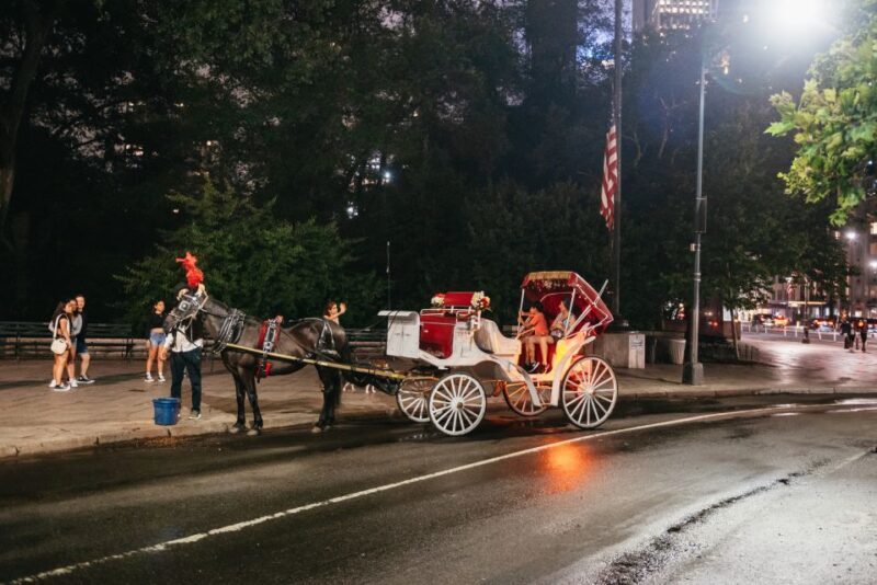 Central Park, Rockefeller & Times Carriage Ride (4 Adults) - Considerations and Practical Details