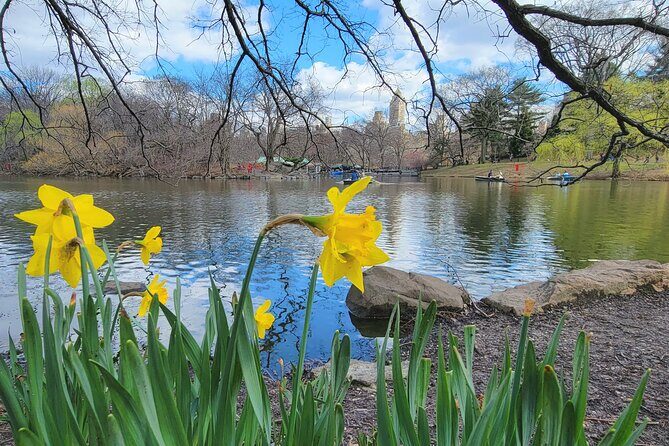 Central Park Secrets And Highlights - Authentic Insights from Past Participants