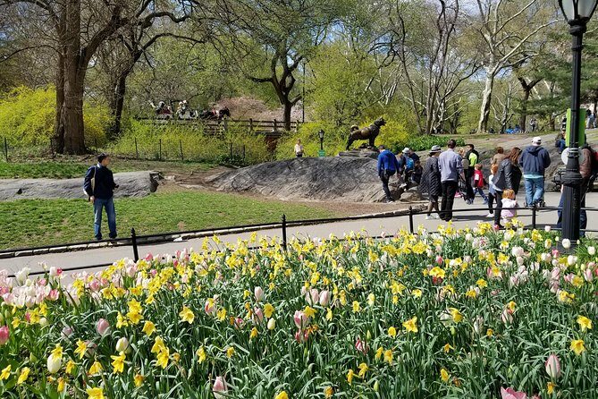 Central Park Secrets And Highlights - Pricing and Value