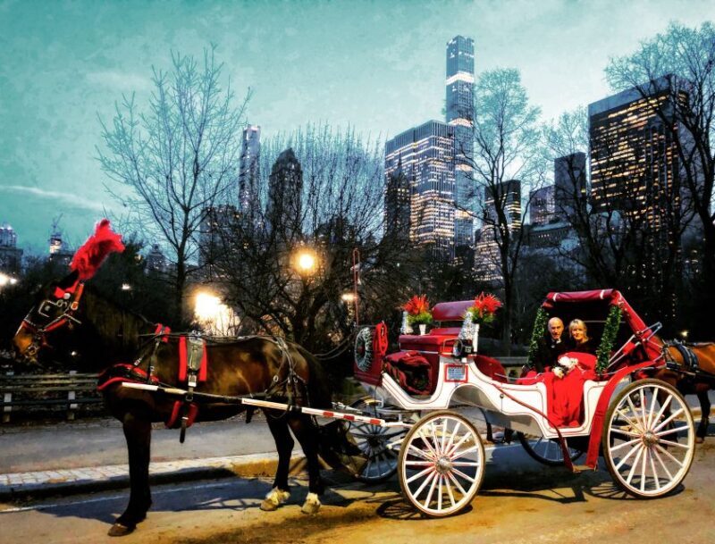 Central Park: Short Horse Carriage Ride (Up to 4 Adults) - The Complete Experience: What to Expect from the Central Park Horse Carriage Ride