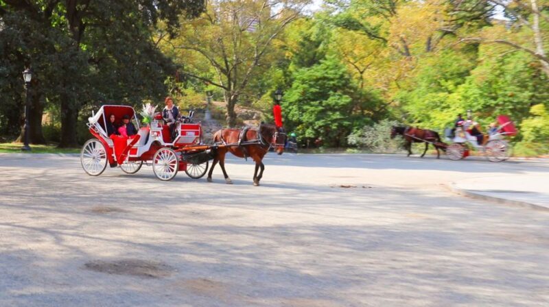 Central Park: Short Horse Carriage Ride (Up to 4 Adults) - How It Compares to Other Central Park Carriage Experiences