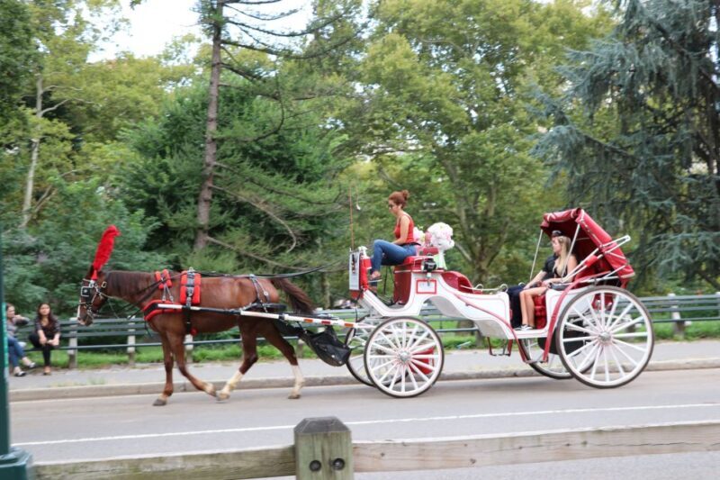 Central Park: Short Horse Carriage Ride (Up to 4 Adults) - Who Will Love This Experience?