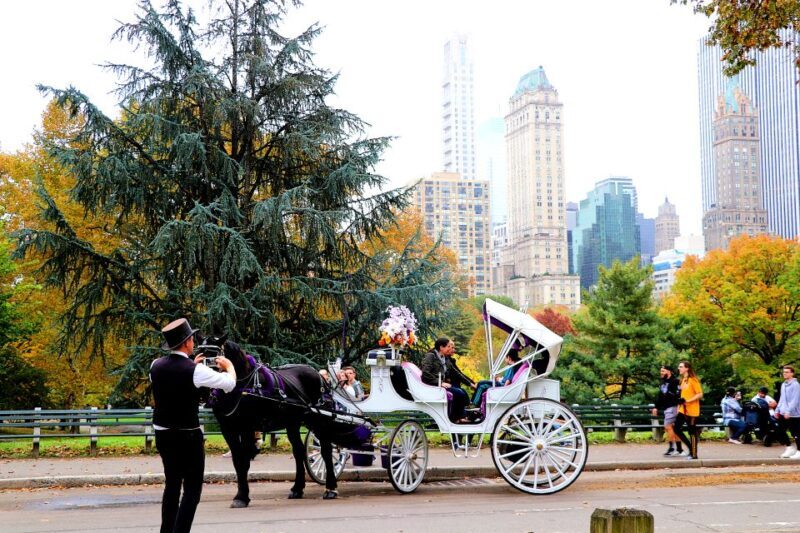 Central Park: Short Horse Carriage Ride (Up to 4 Adults) - The Sum Up