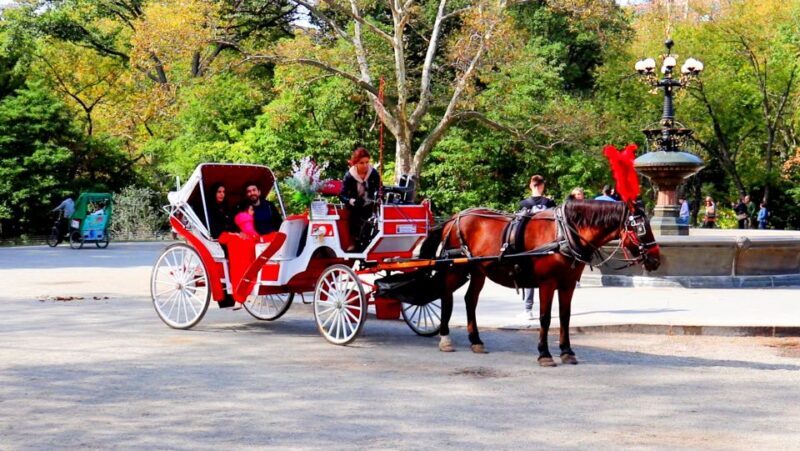 Central Park: Short Horse Carriage Ride (Up to 4 Adults) - FAQ