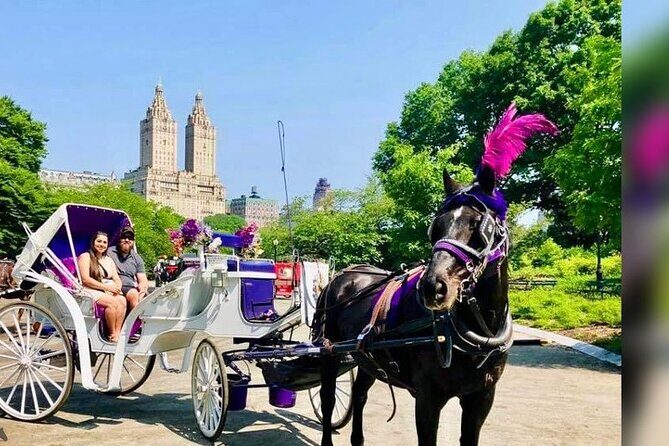 CENTRAL PARK TOUR,Central park sightseeing tours.Flexible Tours - FAQ