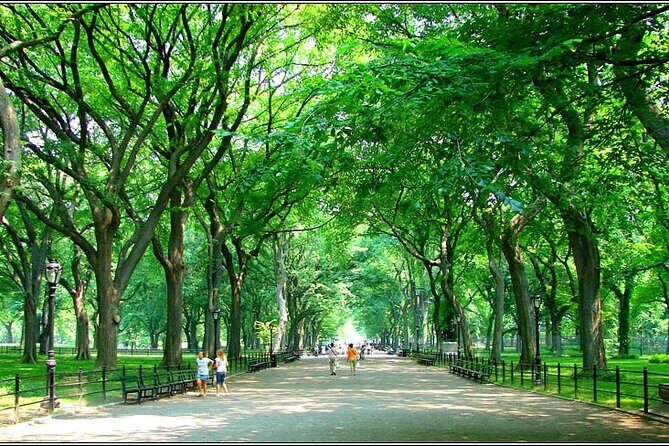 Central Park Walking Tour - FAQ