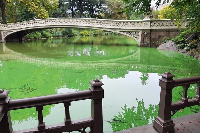 Central Park Wonders And Secrets Shared Walking Tour - Final Thoughts