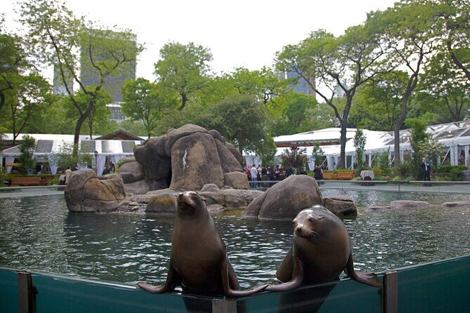 Central Park Wonders And Secrets Shared Walking Tour - FAQs