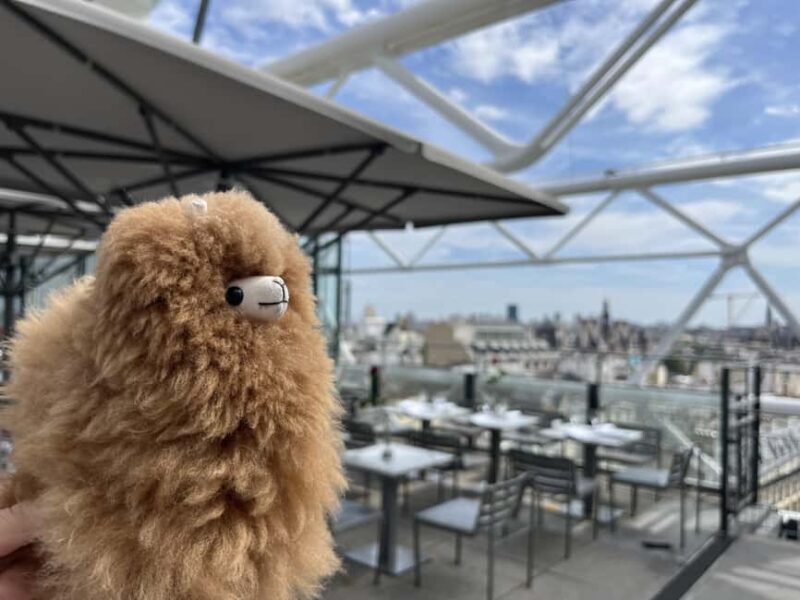 Centre Pompidou: Museum Ticket Entry& 3h Private Guided Tour - Who Should Book This Tour?