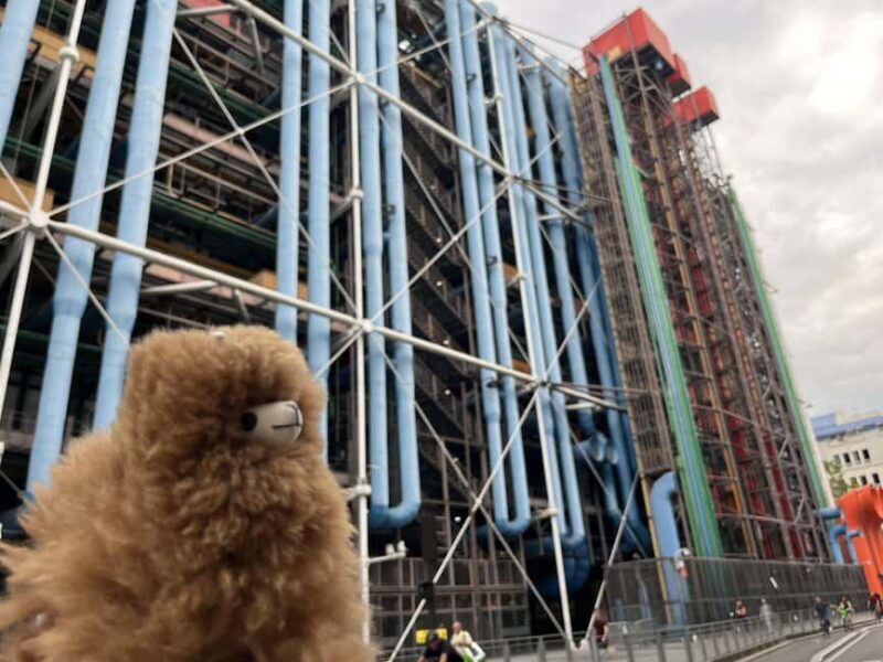 Centre Pompidou: Museum Ticket Entry& 3h Private Guided Tour - FAQ