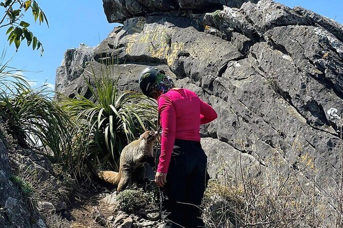 Cerro de la Silla Pico Norte Summit Hike Top Monterrey Adventure - Frequently Asked Questions