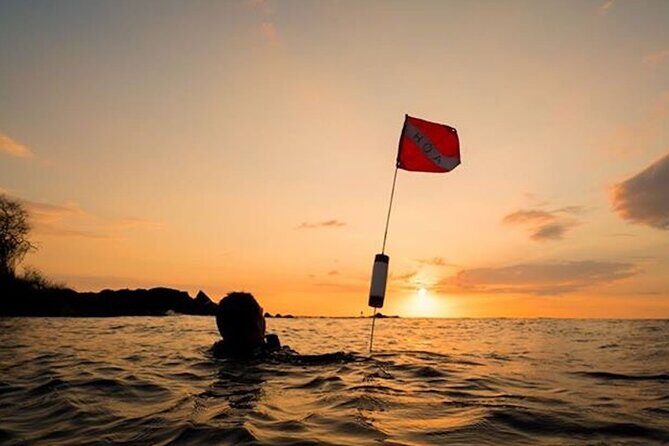 Certified Beach Night Dive - Who Will Appreciate This Night Dive?