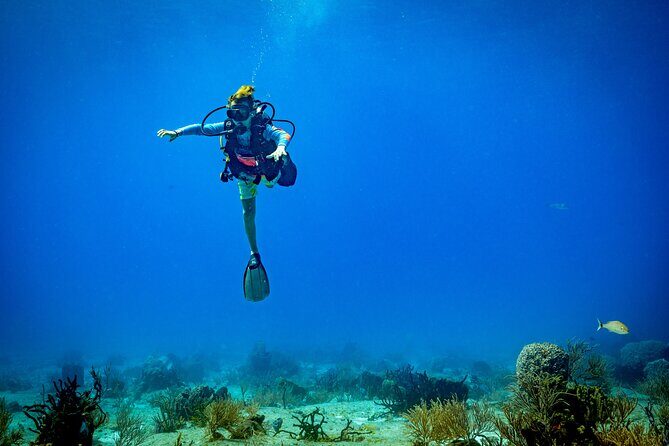 Certified Diving 2 Tanks in Cozumel - What’s Included and What’s Not