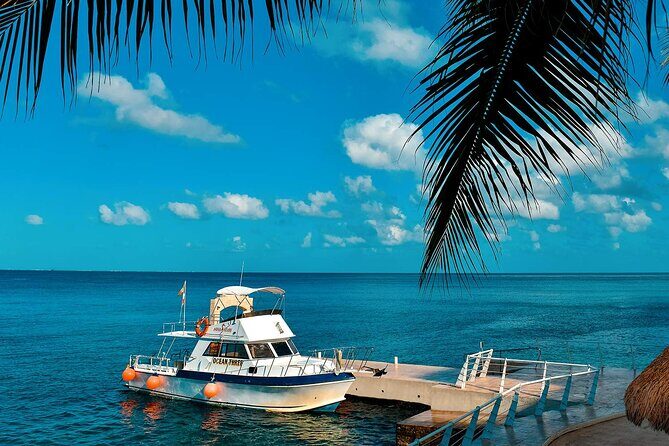 Certified Diving 2 Tanks in Cozumel - Evaluating the Experience for You