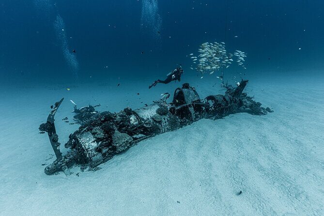Certified Scuba Diving Experience in Honolulu - Frequently Asked Questions