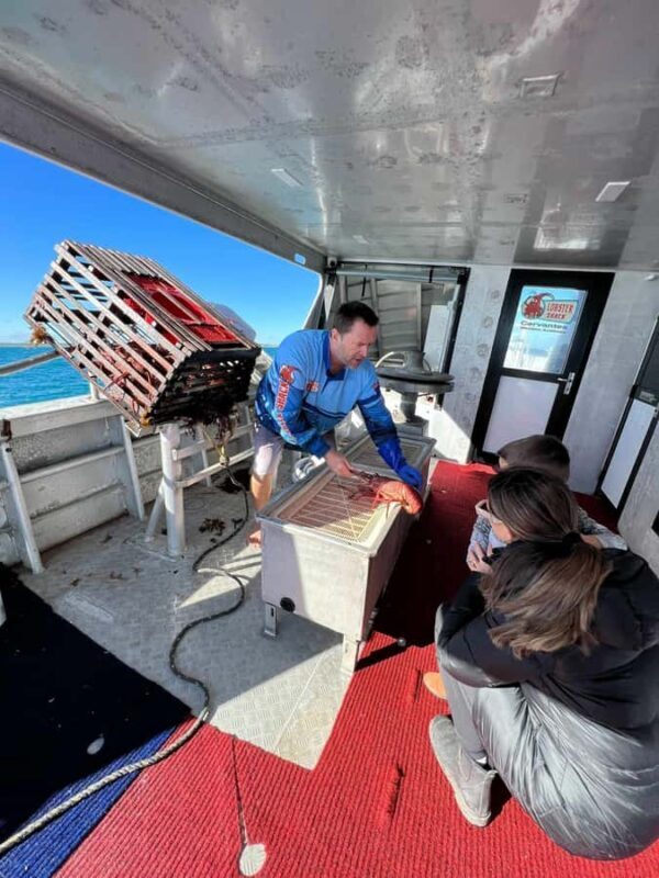 Cervantes: Lobster Catching Tour - Key Points