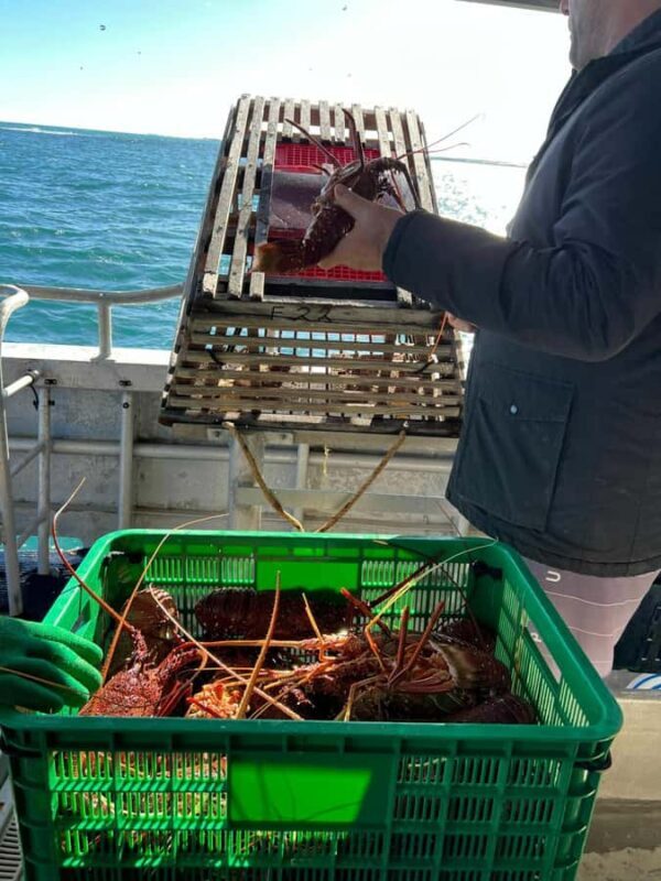 Cervantes: Lobster Catching Tour - A Practical Look at the Tour