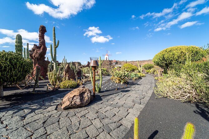 Cesar Manrique Highlights Half Day Tour - Who Would Enjoy This Tour?