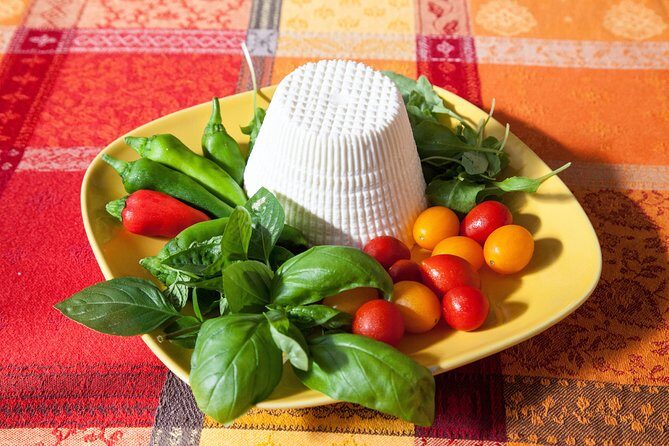 Cesarine: Small Group Pasta and Tiramisu Class in Sorrento - Final Thoughts