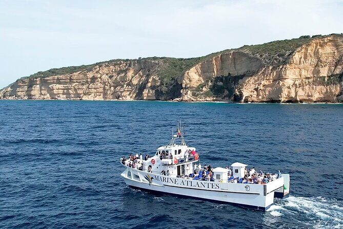 Cetacean Watching Tour - An In-Depth Look at the Cetacean Watching Experience