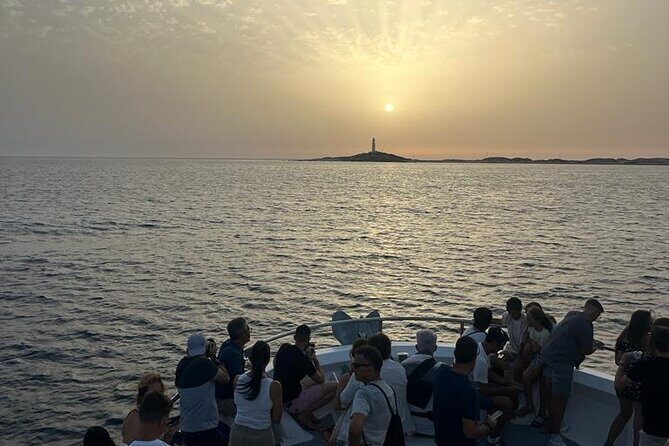 Cetacean Watching Tour - FAQs