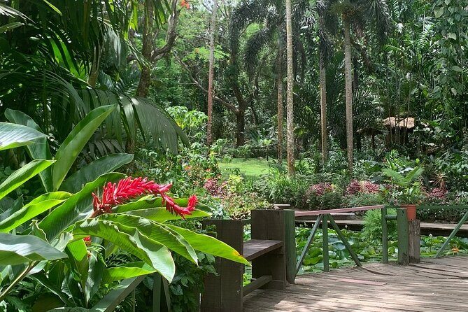 CFC Hot Spring Mud Pool,Garden Of Sleeping Giant And Village Visit Half Day Tour - Key Points