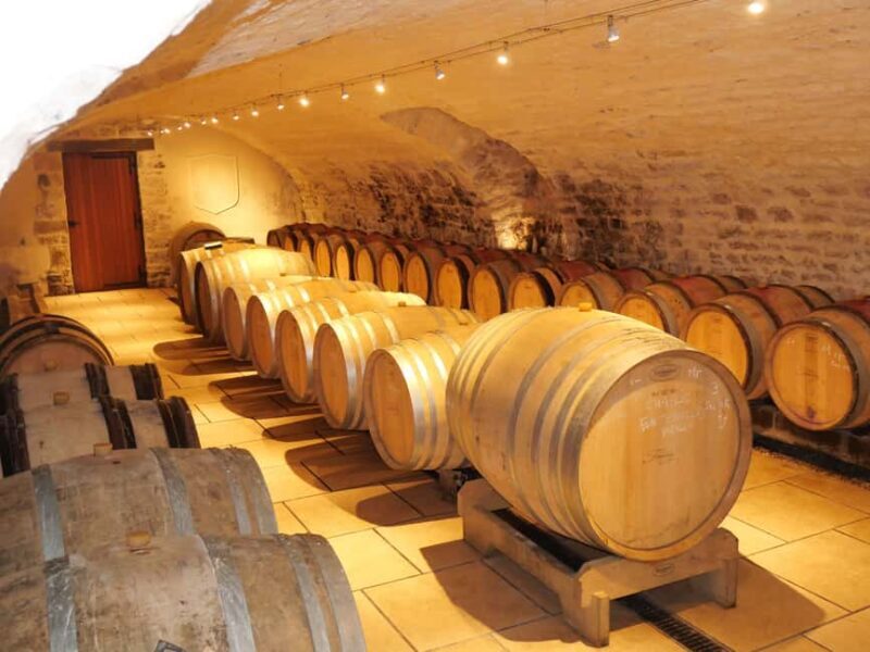 Chablis: Tour and tasting Family-run winery - Chablis: Tour and tasting Family-run winery