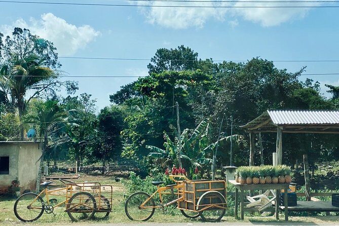 Chacchoben Mayan Ruins and Mayan Experience Tour from Costa Maya - FAQs