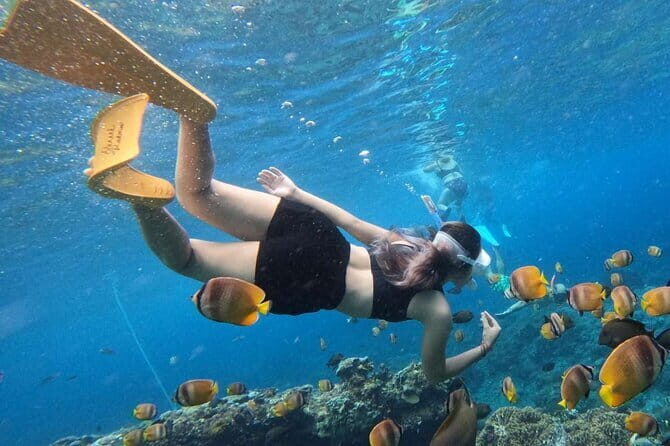 Cham Island Adventure: Snorkeling, Sightseeing & Seafood Set Menu - FAQ
