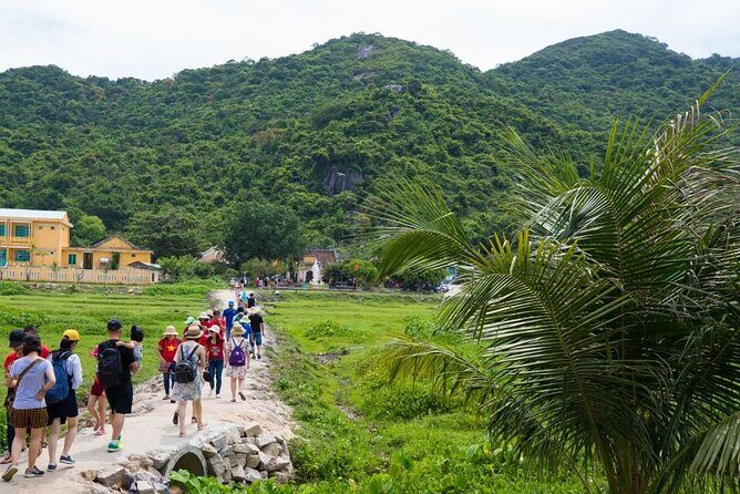 Cham Island Day Tour from Hoi An with Group tour - The Practicalities and Experience Quality