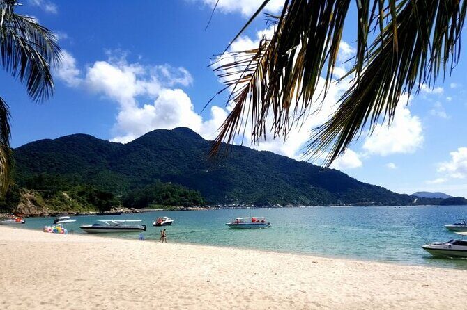 Cham Island Day Tour from Hoi An with Group tour - Who Will Love This Tour?