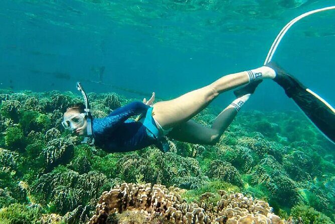 Cham Island Full Day Tour depart from Da Nang visit Au Thuyen and Ong Temple - FAQ