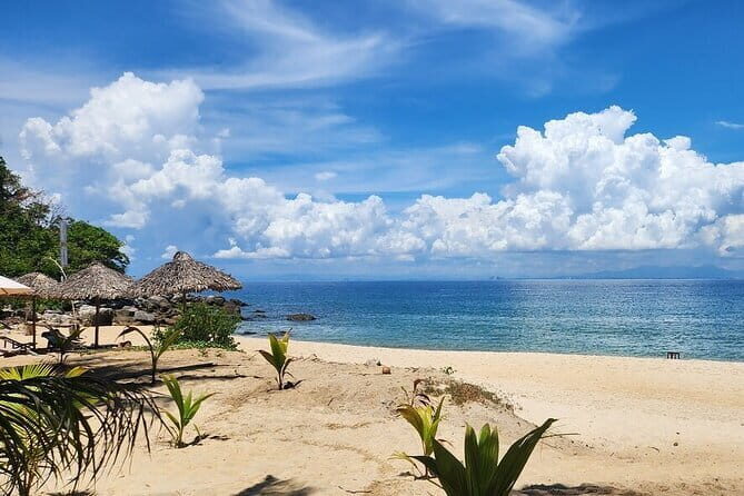 Cham Island Snorkeling Day Trip Explore from Hoi An or Da Nang - What Makes the Cham Island Snorkeling Tour Stand Out