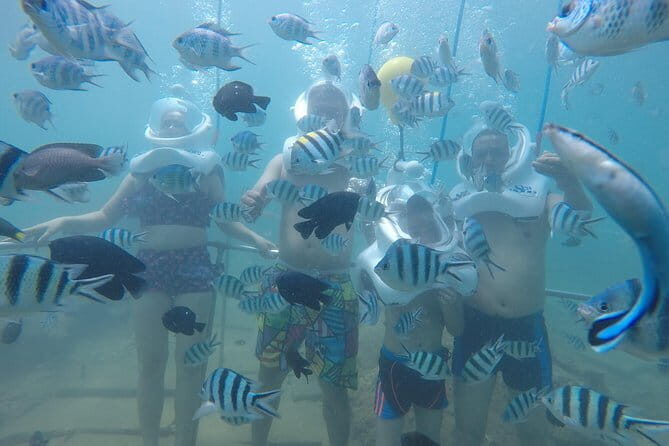 Cham Island Snorkeling Trip from Da Nang with Lunch - The Sum Up