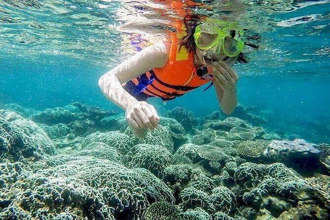 Cham Island Snorkeling Trip from Da Nang with Lunch - FAQ