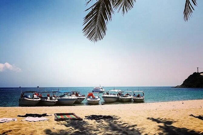 Cham Islands Day Tour from Hoi An - An In-Depth Look at the Cham Islands Day Tour